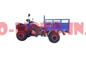 Квадроцикл Forte ATV 250 BS Т Квадроцикл Forte ATV 250 BS Т